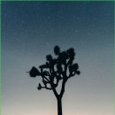 헤어리치 이미지