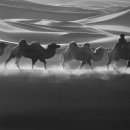 여수미술관 이미지