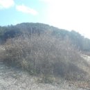 적서리 마을회관 이미지