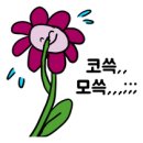 모먼트(MOMENT) 이미지