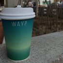 웨이프(WAYP) 이미지