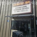 낭만펫 강아지분양 고양이분양 대전 본점 네이버블로그