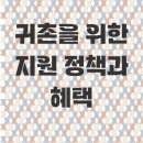 제주백석공인중개사사무소 이미지