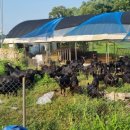 율북1리마을회관 이미지