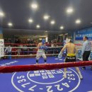 블로우복싱 이미지