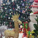 장성군청 이미지