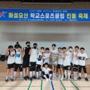 숲속초교 이미지