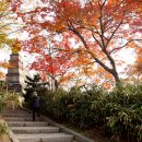 신륵사 화장실 이미지