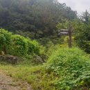 덕산2세천 이미지