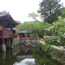 순천-59호 Daum카페