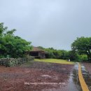 빽다방제주함덕점 이미지