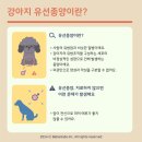 부곡동물병원 이미지