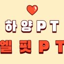 알로하피트니스 하양 대가대점 | 하양 헬스장 베스트 추천 top 10