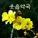 웃음약국 이미지