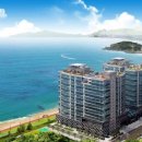 팔레드시즈 이미지