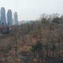 나비공인중개사사무소 이미지