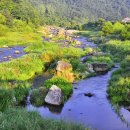 월교농장 이미지