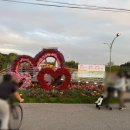 화순센터-비상1 | 화순 봄꽃축제 다녀온 후기 지금 꼭 가야 할 전라도 4월 봄꽃 명소