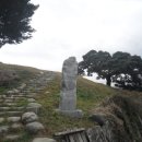 서창 소나무 이미지