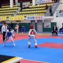 용인대 성민태권도 이미지