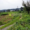 동리 농장 이미지