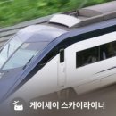 브루맨