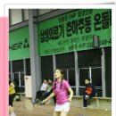 미르체육관 이미지