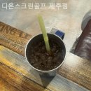 디온스크린골프제주점