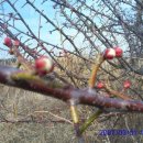 풍호농장 이미지