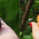 김삿갓데이지펜션 이미지