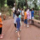 서림공원 1 이미지