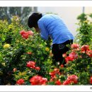 이야기가 있는 풍경 이미지