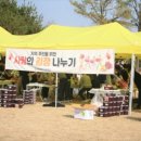 진로노동조합