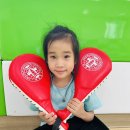 타이곤체육관 이미지