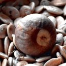 너의 곁에 있을게 이미지