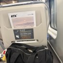 한밭목장 | 대전 신세계 아쿠아리움 간 부산사람 후기 (약간의 일상을 곁들인..)