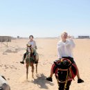 사라메디칼 | DAY 4 / 오다투어 지호호와 함께 떠나는 여행 / 홀스라이딩 / 후르가다 / 이집트 병원 후기 및 비용