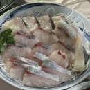 우미사케횟집 네이버블로그