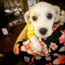 대명호스텔 이미지