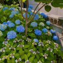 의료법인 로뎀의료재단 | 장성동요양원 의료법인생명샘의료재단 로뎀요양원 안전한 케어를 제공합니다