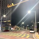 말티목장 | 제주 당일치기 코스(우진해장국,커피템플,카페밭디,맛나식당,제주농원,런던베이글,명호돗갈비)