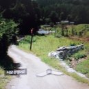 수안보면사무소 이미지