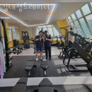 장항동헬스장 고양시 일산동구 헬스 PT pt 피티 김태성트레이너 가격 영업시간 리뷰