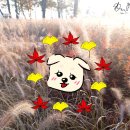 Kep1er 강예서의 추억 공유 이미지