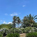 제주특별자치도 농업기술원 이미지