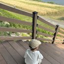 덕일어린이집 | Baby :: 자연분만 출산 후기 [삼성미즈병원]