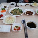 동진초장