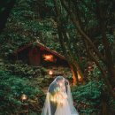 코스모스와 메밀가든 | 제주도 웨딩스냅 촬영 가격 장소 비용 올레감사 제주 스냅 추천 후기