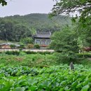 가야이용소
