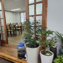 초당갈비 | [공주 맛집] 초당갈비김치찌개 마곡사 맛집 추천 내돈내산 리스트